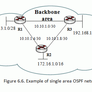 OSPF实例