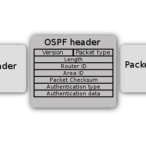 OSPF案例